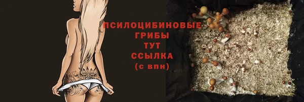 ГАЛЛЮЦИНОГЕННЫЕ ГРИБЫ Аркадак