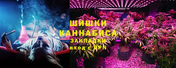 ГАЛЛЮЦИНОГЕННЫЕ ГРИБЫ Аркадак