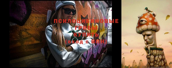 a pvp Арсеньев